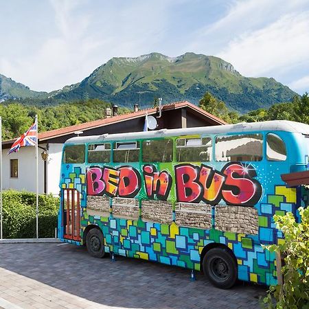 Bed In Bus Bed & Breakfast Belluno Eksteriør bilde
